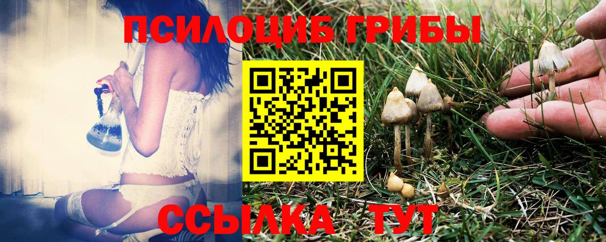 Псилоцибиновые грибы прущие грибы  Вход с VPN  Псилоцибиновые грибы MAGIC MUSHROOMS  Кудымкар 